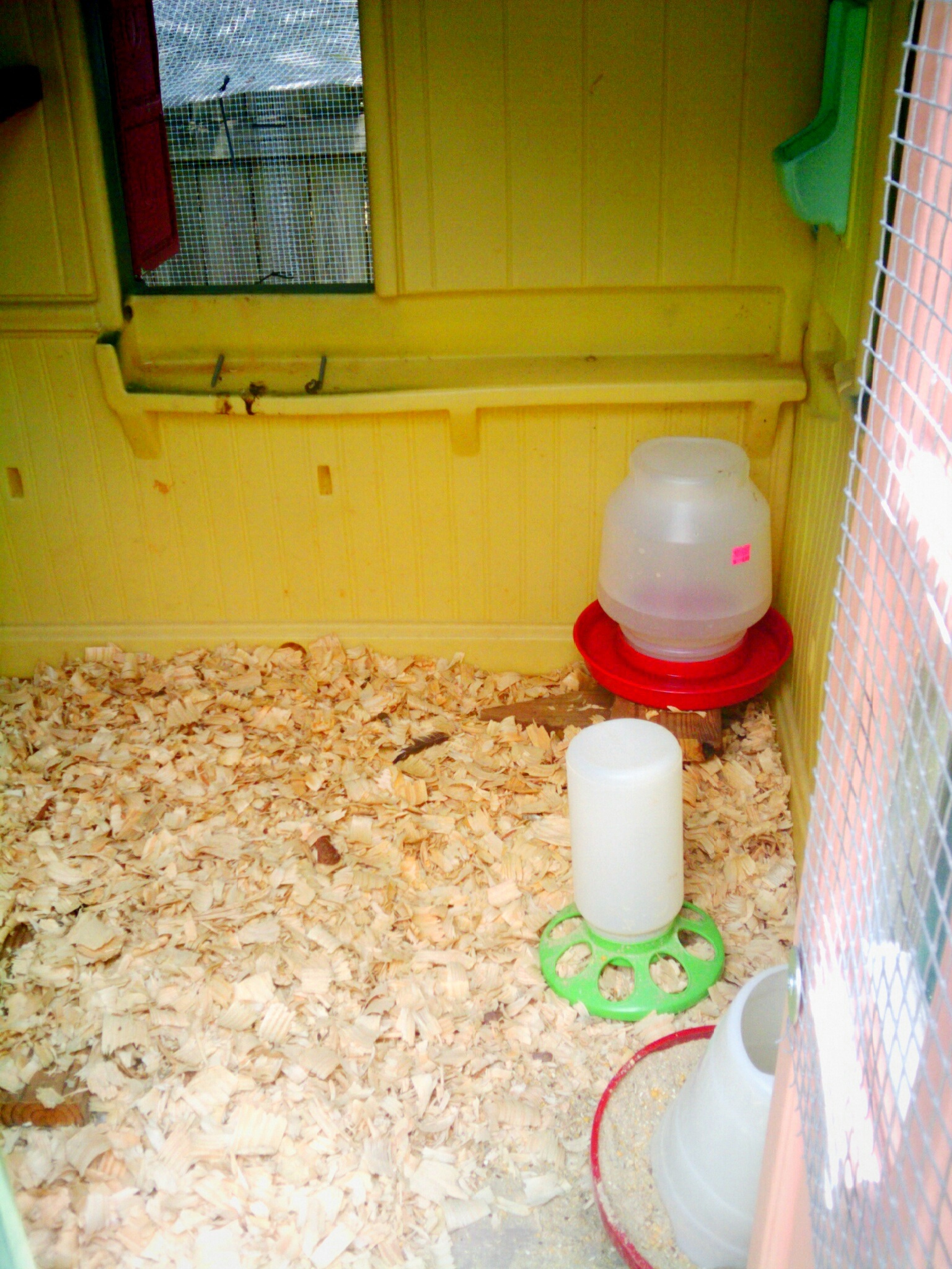 How to build a Little Tikes Coop for under $200 – CHICKPASTOR